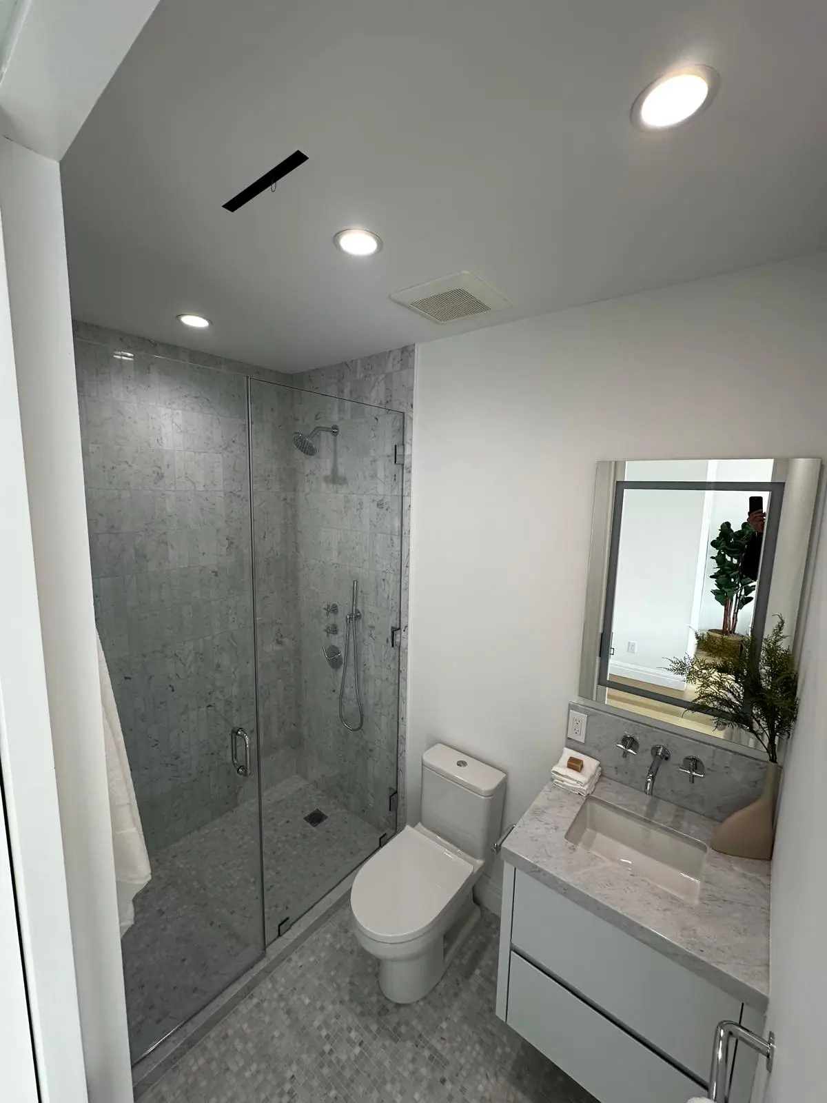 Modern walk-in shower